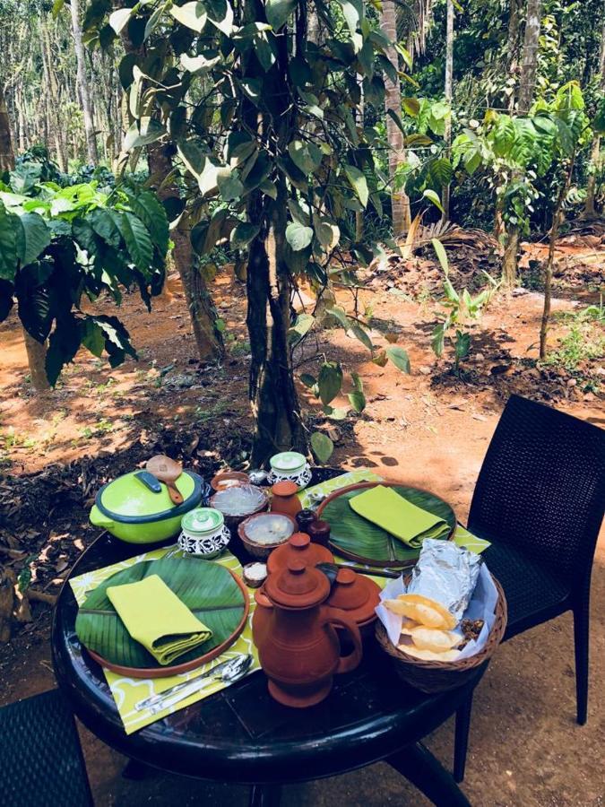 Kerala Wild Stay Kanthalloor Kültér fotó